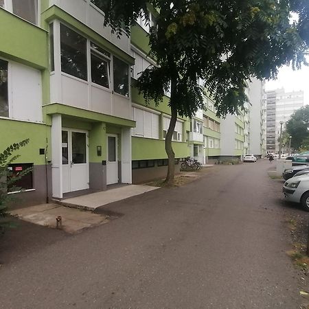 Sweet Dreams Apartman Mestecǎneşti Exterior foto
